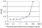 HMOX2 Antibody (monoclonal) (M01)