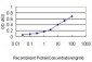 HNRPA2B1 Antibody (monoclonal) (M01)