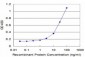 HNRPM Antibody (monoclonal) (M01)