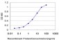 HNRPM Antibody (monoclonal) (M03)