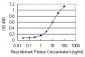 HOOK1 Antibody (monoclonal) (M02)