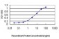 HORMAD1 Antibody (monoclonal) (M01)