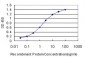 HOXA11 Antibody (monoclonal) (M05)