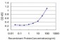 HOXA11 Antibody (monoclonal) (M08)