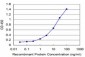 HOXA5 Antibody (monoclonal) (M05)