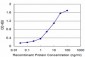 HOXB5 Antibody (monoclonal) (M01)