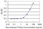 HOXB9 Antibody (monoclonal) (M01)