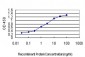 HOXC10 Antibody (monoclonal) (M01)