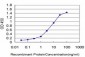 HOXC10 Antibody (monoclonal) (M02)