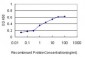 HOXC4 Antibody (monoclonal) (M01)