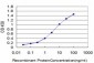 HOXC4 Antibody (monoclonal) (M02)