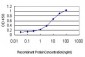 HOXC8 Antibody (monoclonal) (M01)