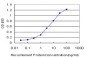 HOXD11 Antibody (monoclonal) (M01)