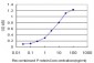 HOXD11 Antibody (monoclonal) (M03)