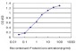 HOXD11 Antibody (monoclonal) (M10)