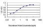 HOXD8 Antibody (monoclonal) (M01)