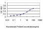 HSPE1 Antibody (monoclonal) (M01)