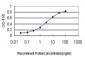 HTRA2 Antibody (monoclonal) (M03)