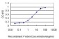 ICAM1 Antibody (monoclonal) (M01)