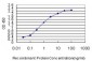 IDH2 Antibody (monoclonal) (M01)