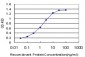 IKBKG Antibody (monoclonal) (M01)