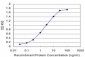 IL13RA2 Antibody (monoclonal) (M01)