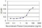 IL1A Antibody (monoclonal) (M01)