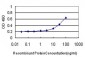 IL1B Antibody (monoclonal) (M01)