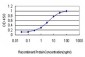 IL20 Antibody (monoclonal) (M01)