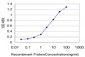 IL8 Antibody (monoclonal) (M04)