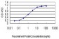 ING1 Antibody (monoclonal) (M06)