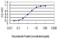 ING1 Antibody (monoclonal) (M06)