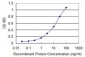 ING3 Antibody (monoclonal) (M01)