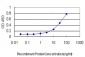 IQGAP1 Antibody (monoclonal) (M01)