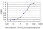 IRAK1 Antibody (monoclonal) (M02)