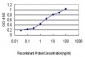 IRF1 Antibody (monoclonal) (M01)