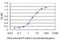 IRF2 Antibody (monoclonal) (M01)