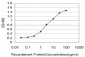 IRF2 Antibody (monoclonal) (M04)