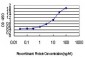 IRF4 Antibody (monoclonal) (M02)