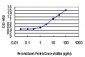 IRF4 Antibody (monoclonal) (M05)