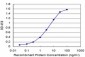 IRF5 Antibody (monoclonal) (M03)