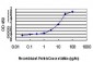 IRX3 Antibody (monoclonal) (M03)