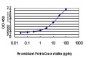 IRX3 Antibody (monoclonal) (M08)