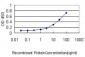 ISGF3G Antibody (monoclonal) (M02)