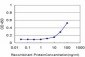 JAK3 Antibody (monoclonal) (M05)