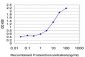 JARID1B Antibody (monoclonal) (M02)