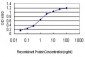 KCNA3 Antibody (monoclonal) (M01)