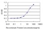 KCNG3 Antibody (monoclonal) (M01)