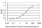 KCNQ4 Antibody (monoclonal) (M01)