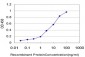 KCNQ5 Antibody (monoclonal) (M01)